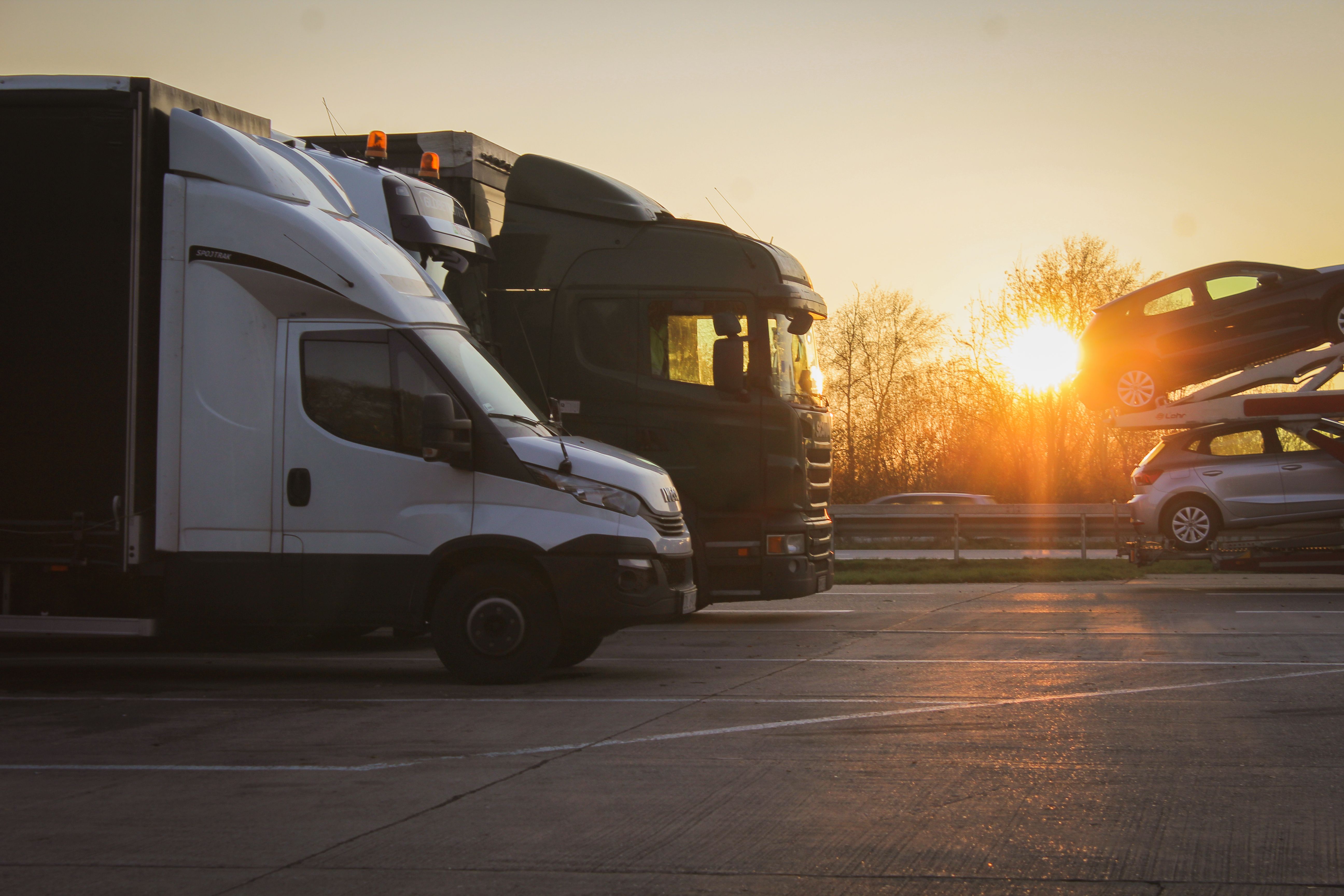 Professional logistics team